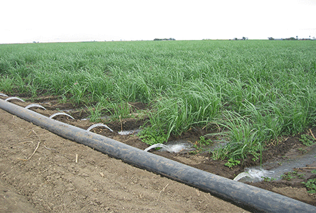 High Density Polyethylene Coiled Pipes and Fittings